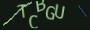 validcode